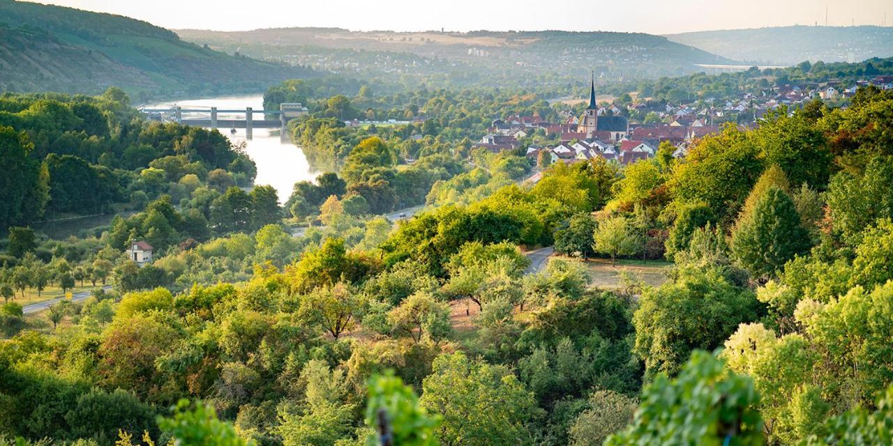 Weingut Martin Blass Erlabrunn  Exteriér fotografie