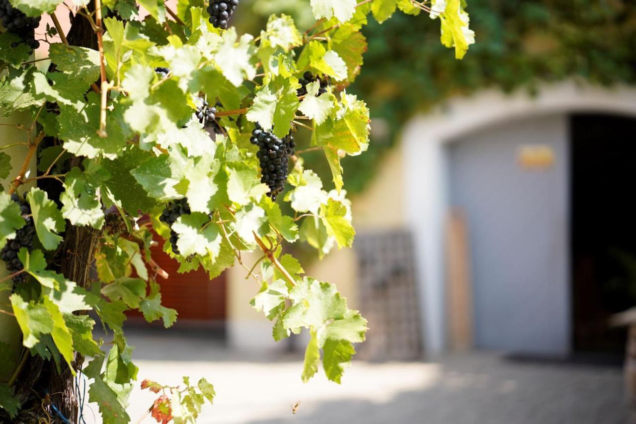 Weingut Martin Blass Erlabrunn  Exteriér fotografie
